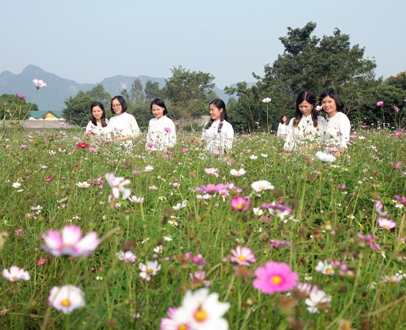 Yen Son Flower Garden - A new 